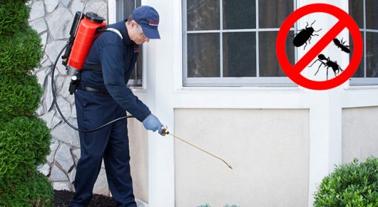 Pozantı Karınca İlaçlama böcek ilaçlama ve haşere kontrolü — ilaclama-tr.com